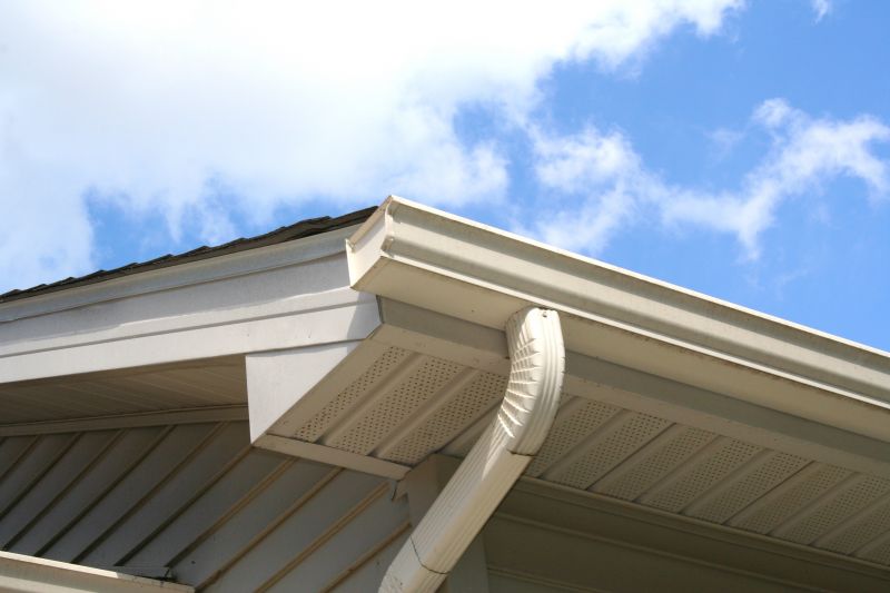 Gutter System Inspection