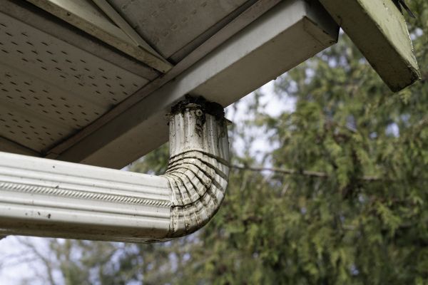 Roof Drain Replacement in Clayton